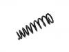 Coil Spring:NH42-31-011A