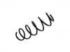 Coil Spring:DGY0-34-A10