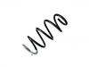 Coil Spring:639 321 19 04