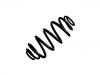 Coil Spring:639 321 26 04