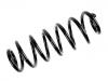 Coil Spring:3C0 511 115 AN