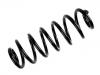 Coil Spring:3C0 511 115 BJ