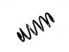 Coil Spring:1K8 511 115 A