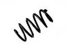 Coil Spring:1K8 411 105 B