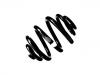 Coil Spring:7M0 511 115 AE