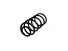 Coil Spring:1J0 411 105 AR