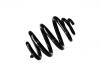 Coil Spring:7H0 511 115 P