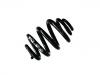 Coil Spring:7J0 511 115 G