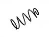 Coil Spring:30666203