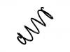 Coil Spring:30666204