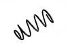 Coil Spring:30666205