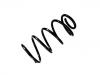 Coil Spring:30683561