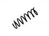 Coil Spring:30736521