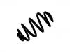 Coil Spring:701 511 105 L