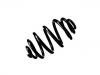 Coil Spring:701 511 105 F