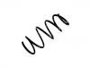 Coil Spring:48131-05A10