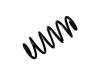 Coil Spring:48131-02C00