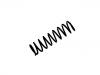 Coil Spring:48231-46020