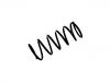 Coil Spring:48131-46020