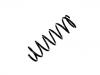 Coil Spring:48231-2A420