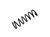 Coil Spring:48231-2A390