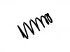 Coil Spring:48231-48071