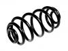 Coil Spring:12790055