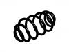 Coil Spring:12759984