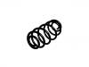 Coil Spring:12759983