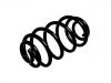 Coil Spring:12786586