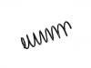 Coil Spring:5233093