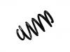 Ressort hélicoidal Coil Spring:82 00 883 742