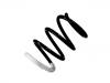 Coil Spring:54 01 001 08R