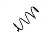 Coil Spring:82 00 819 803