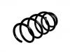 Coil Spring:93190608