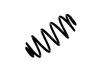 Coil Spring:12786718