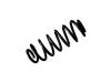 Coil Spring:5102.X4