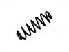 Coil Spring:5102.X1