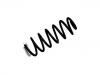 Coil Spring:5002.WH