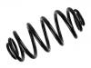 Coil Spring:424 402