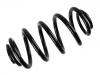 Coil Spring:424452