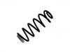 Coil Spring:5102.FY