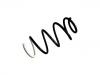 Coil Spring:5004.23