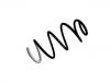 Coil Spring:5004.07