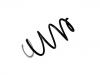 Coil Spring:5002.WS