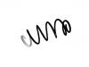 Coil Spring:5002.TH