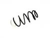 Coil Spring:5002.TG