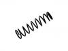 Coil Spring:RKB101660