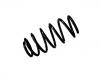 Coil Spring:5052294