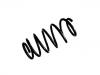 Coil Spring:5062302